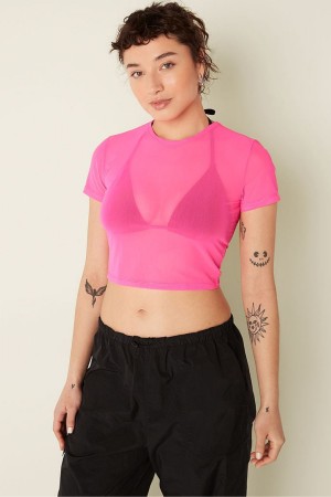 Victoria's Secret Mesh Kurzes Sleeve T-Shirt Rosa | 314-ZCEXHB
